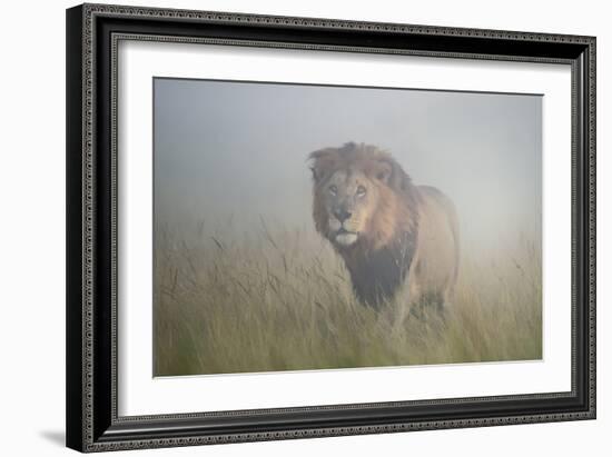 King in the Mist-Frits Hoogendijk-Framed Photographic Print