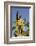 King Kamehameha Statue in Front of Aliiolani Hale (Hawaii State Supreme Court)-Michael DeFreitas-Framed Photographic Print