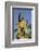 King Kamehameha Statue in Front of Aliiolani Hale (Hawaii State Supreme Court)-Michael DeFreitas-Framed Photographic Print