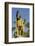 King Kamehameha Statue in Front of Aliiolani Hale (Hawaii State Supreme Court)-Michael DeFreitas-Framed Photographic Print