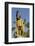 King Kamehameha Statue in Front of Aliiolani Hale (Hawaii State Supreme Court)-Michael DeFreitas-Framed Photographic Print