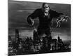 Premium Photographic Print