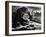 King Kong, 1933-null-Framed Photographic Print