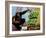 King Kong, 1933-null-Framed Art Print