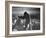 King Kong Clinging to Top of Empire State Building Tower in Horror Movie with Fay Wray in His Hands-Alfred Eisenstaedt-Framed Photographic Print