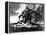 King Kong, Fay Wray, 1933, Kong Fighting Pterodactyl-null-Framed Stretched Canvas