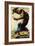 King Kong, Fay Wray, 1933-null-Framed Art Print