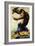 King Kong, Fay Wray, 1933-null-Framed Premium Giclee Print