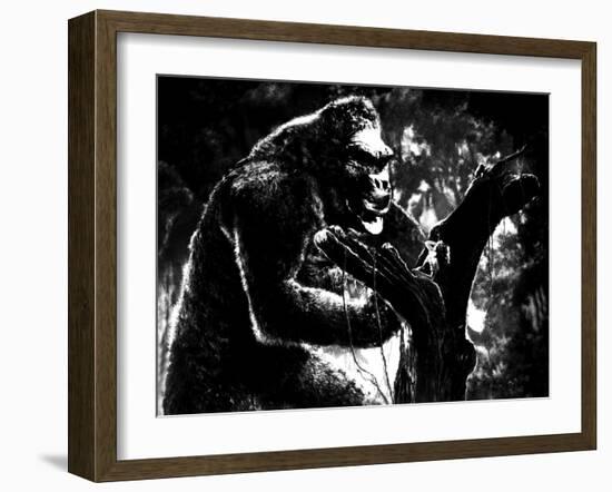 King Kong, King Kong, Fay Wray, 1933-null-Framed Photo