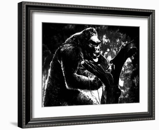 King Kong, King Kong, Fay Wray, 1933-null-Framed Photo