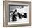 King Kong vs. Godzilla-null-Framed Photo