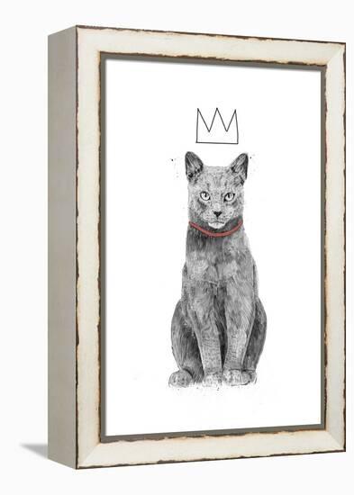 King of Everything-Balazs Solti-Framed Premier Image Canvas