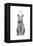 King of Everything-Balazs Solti-Framed Premier Image Canvas