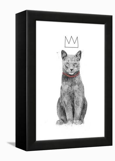 King of Everything-Balazs Solti-Framed Premier Image Canvas