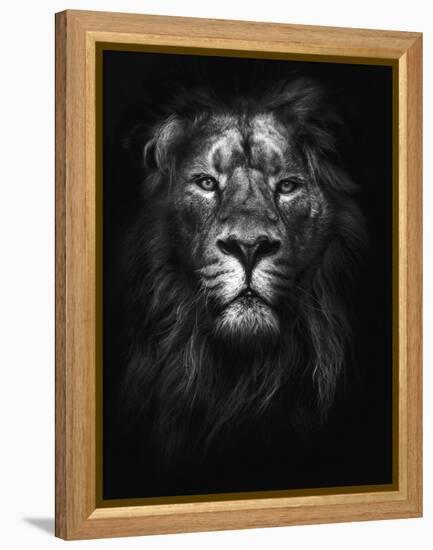 King of Kings-Design Fabrikken-Framed Premier Image Canvas