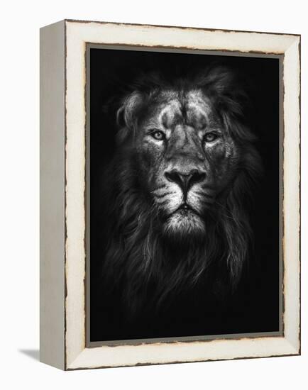 King of Kings-Design Fabrikken-Framed Premier Image Canvas