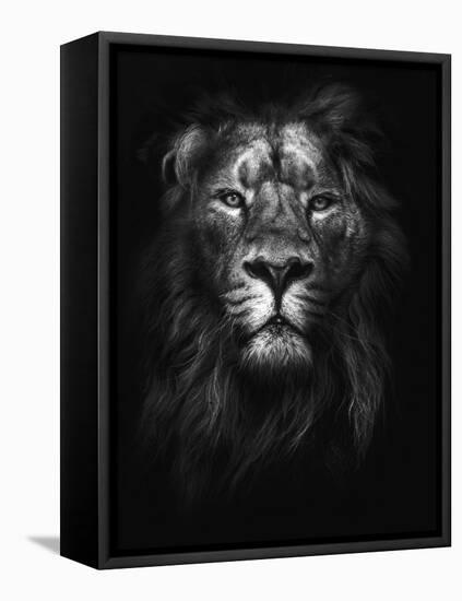 King of Kings-Design Fabrikken-Framed Premier Image Canvas