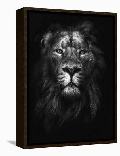 King of Kings-Design Fabrikken-Framed Premier Image Canvas