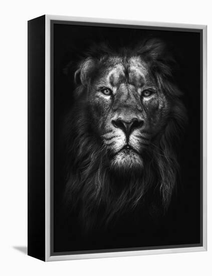 King of Kings-Design Fabrikken-Framed Premier Image Canvas