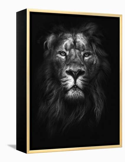 King of Kings-Design Fabrikken-Framed Premier Image Canvas