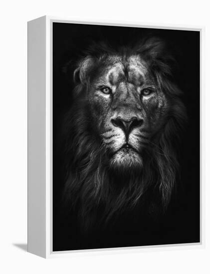 King of Kings-Design Fabrikken-Framed Premier Image Canvas