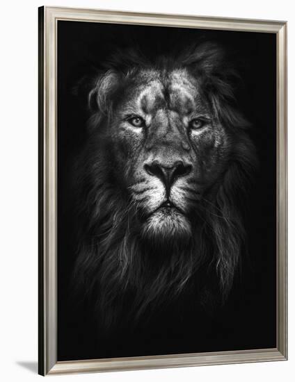 King of Kings-Design Fabrikken-Framed Photographic Print