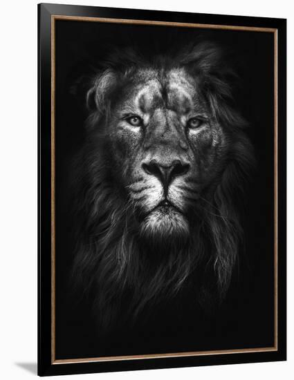 King of Kings-Design Fabrikken-Framed Photographic Print