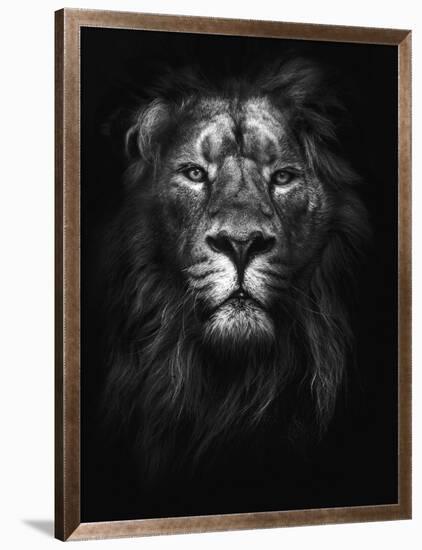 King of Kings-Design Fabrikken-Framed Photographic Print