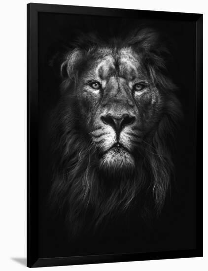 King of Kings-Design Fabrikken-Framed Photographic Print