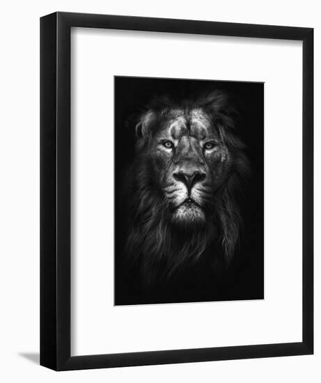 King of Kings-Design Fabrikken-Framed Premium Photographic Print