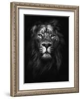 King of Kings-Design Fabrikken-Framed Photographic Print