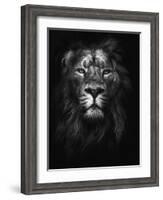 King of Kings-Design Fabrikken-Framed Photographic Print