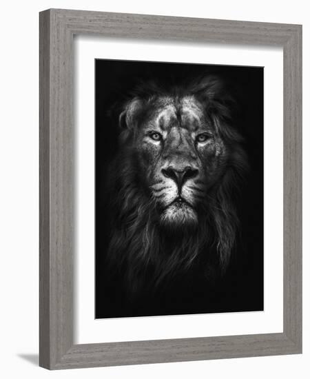 King of Kings-Design Fabrikken-Framed Photographic Print