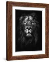 King of Kings-Design Fabrikken-Framed Photographic Print