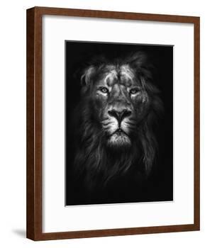 King of Kings-Design Fabrikken-Framed Photographic Print