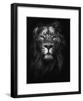 King of Kings-Design Fabrikken-Framed Photographic Print