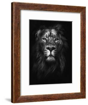 King of Kings-Design Fabrikken-Framed Photographic Print