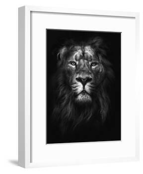 King of Kings-Design Fabrikken-Framed Photographic Print