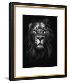 King of Kings-Design Fabrikken-Framed Photographic Print