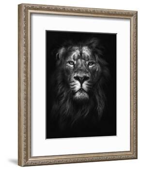 King of Kings-Design Fabrikken-Framed Photographic Print