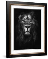 King of Kings-Design Fabrikken-Framed Photographic Print