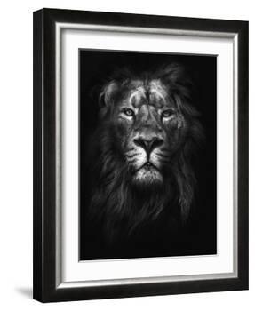 King of Kings-Design Fabrikken-Framed Photographic Print