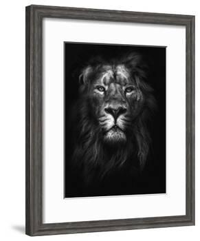 King of Kings-Design Fabrikken-Framed Photographic Print