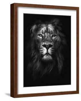 King of Kings-Design Fabrikken-Framed Photographic Print