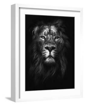 King of Kings-Design Fabrikken-Framed Photographic Print