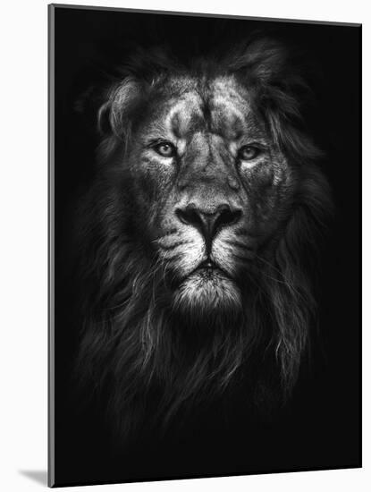 King of Kings-Design Fabrikken-Mounted Photographic Print