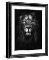 King of Kings-Design Fabrikken-Framed Photographic Print