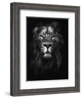 King of Kings-Design Fabrikken-Framed Photographic Print