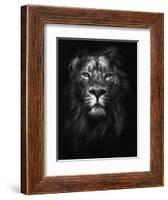 King of Kings-Design Fabrikken-Framed Photographic Print