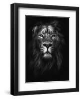 King of Kings-Design Fabrikken-Framed Photographic Print